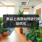 新站上线后如何进行网站优化（图3）