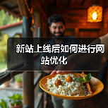 新站上线后如何进行网站优化（图2）