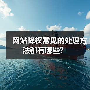 网站降权常见的处理方法都有哪些？（图4）
