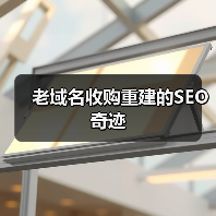 老域名收购重建的SEO奇迹(图3) 老域名收购重建的SEO奇迹(图3)