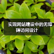 实现网站建设中的无障碍访问设计（图1）