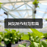 网站制作规范指南（图3）