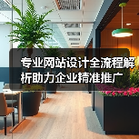 专业网站设计全流程解析助力企业精准推广（图4）