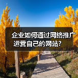 企业如何通过网络推广运营自己的网站？（图2）
