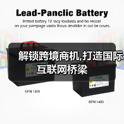 解锁跨境商机,打造国际互联网桥梁（图2）