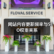 网站内容更新频率与SEO权重关系(图2) 网站内容更新频率与SEO权重关系(图2)