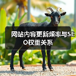 网站内容更新频率与SEO权重关系(图4) 网站内容更新频率与SEO权重关系(图4)