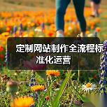 定制网站制作全流程标准化运营（图3）