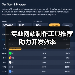 专业网站制作工具推荐助力开发效率（图2）