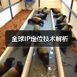 全球IP定位技术解析(图3) 全球IP定位技术解析(图3)