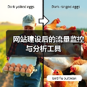 网站建设后的流量监控与分析工具(图1) 网站建设后的流量监控与分析工具(图1)
