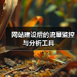 网站建设后的流量监控与分析工具(图2) 网站建设后的流量监控与分析工具(图2)