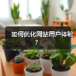如何优化网站用户体验？