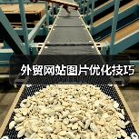 外贸网站图片优化技巧（图3）