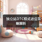 独立站DTC模式运营策略解析（图4）