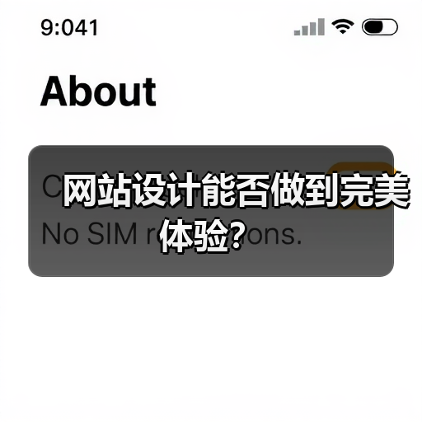 网站设计能否做到完美体验？（图2）