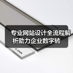 专业网站设计全流程解析助力企业数字转（图2）
