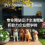 专业网站设计全流程解析助力企业数字转（图1）