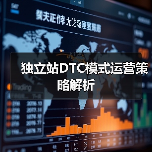 独立站DTC模式运营策略解析（图3）