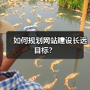 如何规划网站建设长远目标？（图2）