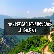 专业网站制作服务助你走向成功（图2）