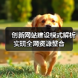 创新网站建设模式解析实现全网资源整合(图3) 创新网站建设模式解析实现全网资源整合(图3)