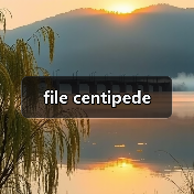 file centipede（图1）