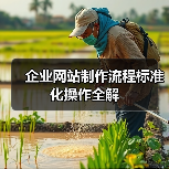 企业网站制作流程标准化操作全解（图4）