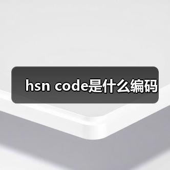 hsn code是什么编码（图3）
