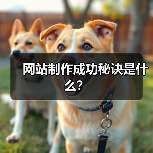 网站制作成功秘诀是什么?(图3) 网站制作成功秘诀是什么?(图3)