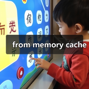 from memory cache（图2）