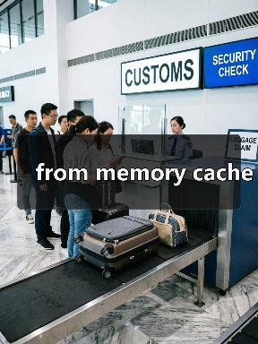 from memory cache（图3）