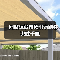 网站建设市场洞察助你决胜千里（图2）