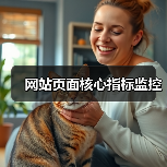 网站页面核心指标监控（图2）