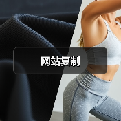 网站复制（图1）
