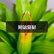 网站复制（图3）