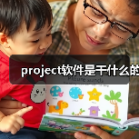 project软件是干什么的（图1）