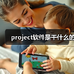 project软件是干什么的（图3）
