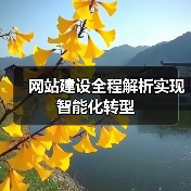 网站建设全程解析实现智能化转型（图2）