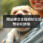 网站建设全程解析实现智能化转型（图4）