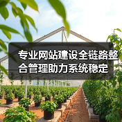 专业网站建设全链路整合管理助力系统稳定（图2）