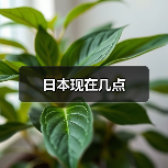 日本现在几点（图3）