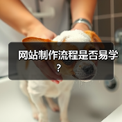 网站制作流程是否易学？（图2）