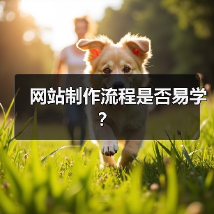 网站制作流程是否易学？（图4）