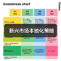 新兴市场本地化策略（图4）
