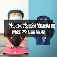 外贸网站建设的服务器端脚本语言运用(图2) 外贸网站建设的服务器端脚本语言运用(图2)