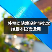 外贸网站建设的服务器端脚本语言运用(图4) 外贸网站建设的服务器端脚本语言运用(图4)