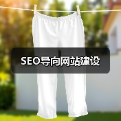 SEO导向网站建设（图3）