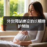 外贸网站建设的长期维护策略（图3）
