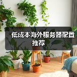 低成本海外服务器配置推荐（图3）